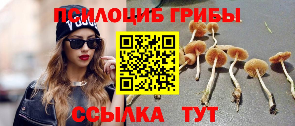 Псилоцибиновые грибы MAGIC MUSHROOMS  Псилоцибиновые грибы ЛСД  Кимры  купить наркотики сайты  Вход с VPN 